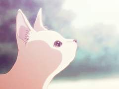 우리 집 바람돌이들🐱 6