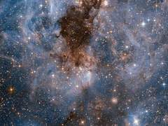 우주는 아직 알 수 없는 게 많고 당신도 그렇다