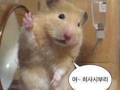 타로 맛집에서 몬엑이랑 정략 결혼 갈기고 온 후기