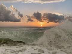 차가운 땅에서 여름을 찾아요