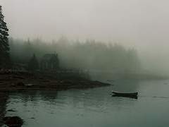 다비나 테이텀 1학년