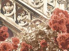 01.20 디페스타 최종 인포