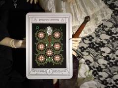 이번 주의 카드: 7 of Pentacles reversed