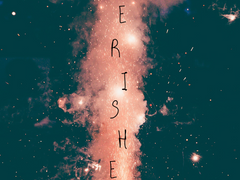 [레화로블/알렉스헨리] Cherished (1)