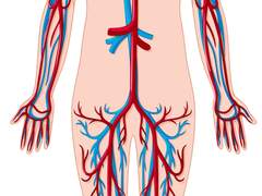 빙의한 직후에 칼에 찔릴 것 같아요. 어디를 찔려야 할까요?