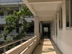 애증의 형제 (1/2)