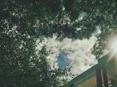 그 해 여름 (2/3)