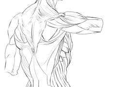 2023년 10월 21일 (토) <해부학>