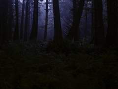 이 고통에 이름을 붙일 수 있다면