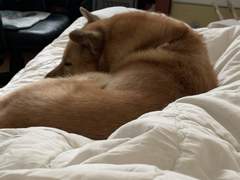 [랑구] 10월 21일 : 맘에 스친 말 이 종이 위에 다