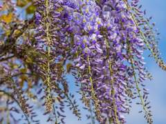 일견경심 :: 1화