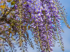 일견경심 :: 13화