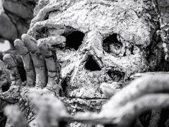 [화산귀환] 죽음과 삶과 죽음 3