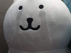 [암어쥑쥑] 10/21 백신과 보늬밤