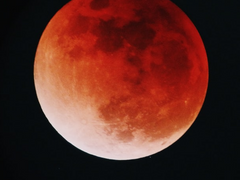 하늘이 붉어진 세계 프롤로그