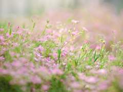 [오수이한]Marry Me Please, My Darling! 上