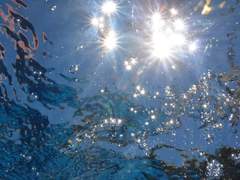 나를 단죄하지 않고,