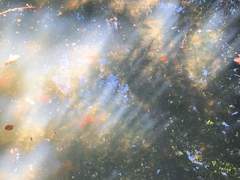 왜냐하면 우리는 우리를 모르고,