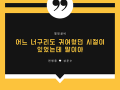 어느 너구리도 귀여웠던 시절이 있었는데 말이야 下