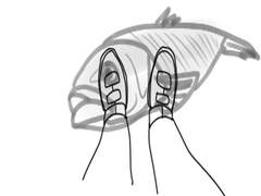 느린 오후의 삽화