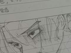 유럽과 아메리카의 국민국가 체제