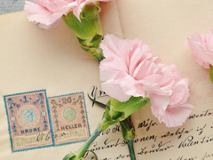 [통판] 10월 대운동회 회지 통판 안내 (+231105)