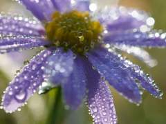 [소을]Kiss The Rain