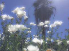 여름을 벗어나고 싶어