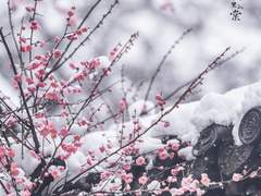 𝓣𝓪𝓴𝓪𝓪𝓴𝓲 𝓜𝓸𝓻𝓸𝓯𝓾𝓼𝓲❄️