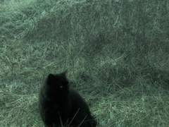 다원고 - 서준혁