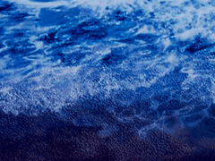 이의커 2기 함도하 공개프로필