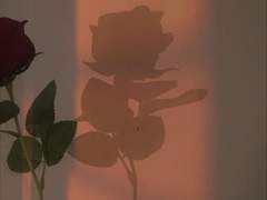 파도가 바다의 일이라면