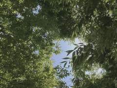 사랑하는 우리 모두가 예술가