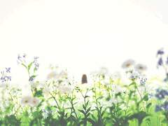 [일홍커] :: profile