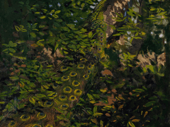 망각, 그 너머의 속박