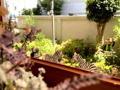 230728-0804 남도 여행