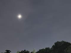 young to the moon (2)