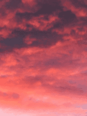 짧은 사랑에 대하여 