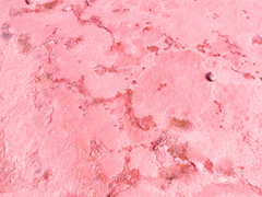 [레화로블/알렉스헨리] Eros: Prologue