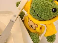 보고서버블📝🫧