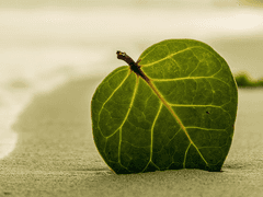 [BSD/오다자] 버릇