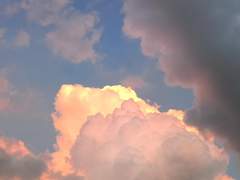 [전지적 독자시점 유중혁] 고독한 순례자