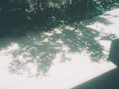 그 하늘에서 바다로 떨어지자.