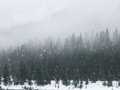 [탐카베] Stuck in the winter