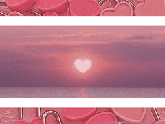 써니타운 입주자