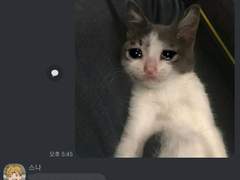 이나리자키 카톡모음