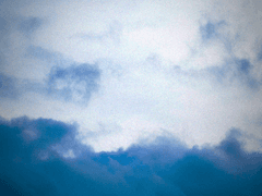 푸른 독초 BLUE VENOM 14