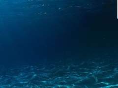 물에 잠긴 용과 기사 1.