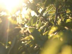 말하지 않아도 전해지는 진심이 있다