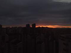 수없이 놓쳐왔을